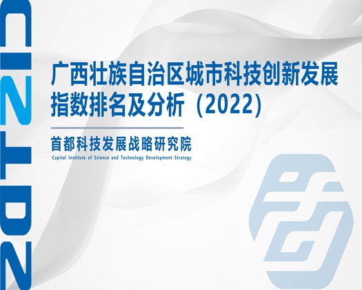 美女黄色日逼视频【成果发布】广西壮族自治区城市科技创新发展指数排名及分析（2022）